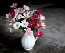 3rd Place - Overall - Fisher (1) Img #1  Petals from Paper