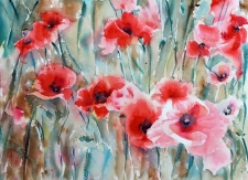 10th Place - Overall - Taligas (1) Img #4  Poppy Field