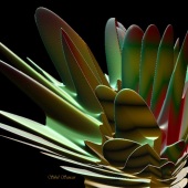 10th Place – Overall - Sibel Sancar - “Succulent Plant” – sancarsibel@gmail.com