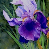 6th Place – Overall - Judith Freeman Clark - “Garden Royalty II” – www.judithfreemanclark.net