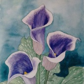 Karen Kaffenberger - “Calla Lilies” – www.threetrailsartstudio.com