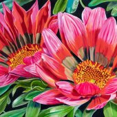 Cecily Slade - “Unbridled Happiness” – www.cecilyslade.com