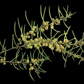 Linda Lunnon - “From Ordinary to Extraordinary” – www.lindalunnon.com