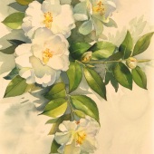 Qing Wang - “Warm Snow” – qingsart.com