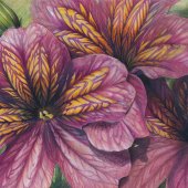 Carye VanDerPol Mahoney - “Violet and Gold” –www.etsy.com/ca/shop/CaryeVDPMahoney