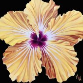 Mindy Sue Werth - “Lemon Yellow Hibiscus” – www.msworiginals.com