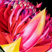 Cecily Slade - “Scintillation” – www.cecilyslade.com