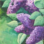 Carol Schmauder - “Gifts from the Lilac City” – www.carolschmauder.com