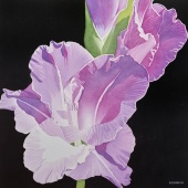 Nanc Gordon - “Summer Glory” – www.nancgordon.com