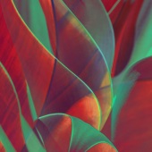 Romi Maegli - “Red and Green Garden” – www.romimaegli.com