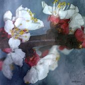 L. Anne Thompson - “Cherry Blossoms” – www.tenukihandcrafts.wordpress.com