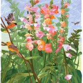 Sam LaFever - “Snapdragons” – www.samlafeverprints.com