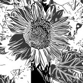 Carol Abel - “Sunflower” – carolabelphotography.wordpress.com