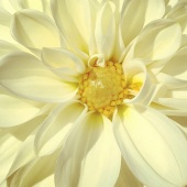 Martin Vallis - “Formation or Vision” – www.martinvallis.com