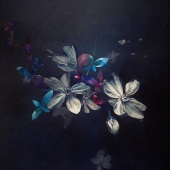 Hannah Webber - “I've Got the Secret” – www.hannahwebberart.co.uk