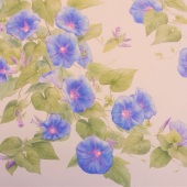 Paola Rossi - “Summer Show” – www.sites.google.com/site/ifioridipaolarossir-Show”