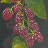 Kristi Richter - “Prime” – keddywumpus@yahoo.com