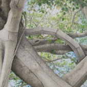 Deborah W. Perlman - “Banyan Study 300” – www.artbydperlman.com