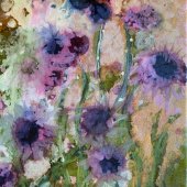 Dawni Kissler - “Purple Coneflowers in Morning Rain” – dawnikissler@gmail.com
