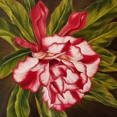 Catie Barron - “Loladenium” – www.catarzina.com