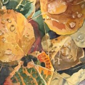Stephen Dolleck - “Scott's Leaves” – www.stephendolleckart.com
