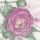 Jack (Nathalie) Parent - “Peony” – www.patsilvaartstudio.etsy.com