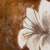 Maka Catori - “Lily Casablanca” – www.catori.art