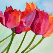Barrie Lou Stark - “Six Tulips” – www.barrie-stark.pixels.com