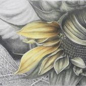 Julie Helmers - “Awakening” – av8navg8@earthlink.net