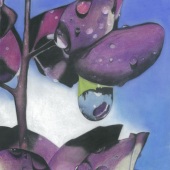 Jonathan Brady Garrett - “Genesis” – zennetta10@gmail.com