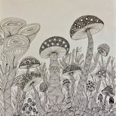 Sonali Garg - “Mini Kingdom of Mushrooms” – www.sonaligarg.com