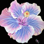 Mindy Sue Werth - “Tahitian Hibiscus” – www.msworiginals.com