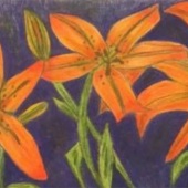 Jenny Carrington- “Tiger Lillies” – jennyccarrington@yahoo.com