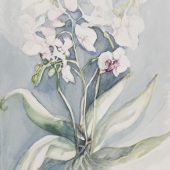 Andrea Sargeant Branca - “Ghost Flower” – andrea.sargeant@virgilio.it