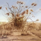 Janet Levy - “Desert Plant Brown” – nightsky.moonscape@gmail.com-Brown”