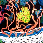 Bobbíe Winston - “Jungle Seed” – lafemmebobbie@gmail.com