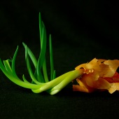 Ken Moran - “Growth” – www.kenmoranphotography.com