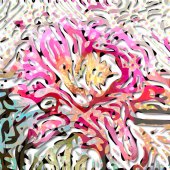 James LaBay - “Spring Loaded” – jml819@me.com