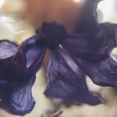 Nehyru Fabré - “A Flamenco's Twirl” – www.nehyrufabre.com