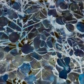 Julie L. Lloyd- “Hydrangea Dance” – julielloyjl@aol.com