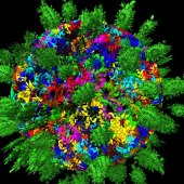 Sibel Sancar - “Green World” – sancarsibel@gmail.com