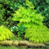 Catharine A. Deever - “Soft Feathers of Green” – www.riverdeedesigns.com