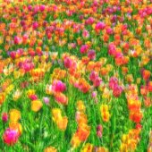 Deborah Loeb Bohren - “Circle of Life” – www.dlbohren.zenfolio.com