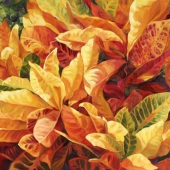 10th Place – Laurie Snow Hein - “Razzmatazz” – www.lauriesnowhein.com