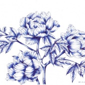 6th Place – Kaori Adachi - “Peonies” – www.flickr.com/photos/158370200@N07