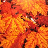 Hon. Mention - Gary Craig - “Wizard Leaves” – www.garycraigart.com