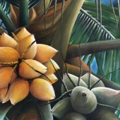 Hon. Mention – Juan Vallejo - “Coconuts” – juanvllj@gmail.com