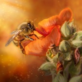 3rd Place – Laura Lipke - “Bee-utiful” – www.lauralipke.com