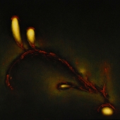 Carolyn Adams – “The Quest” - www.carolynadams.artspan.com/