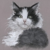 Cat Denby – “The Diva” - www.artbycatonline.com